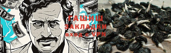 прущие крисы Балахна
