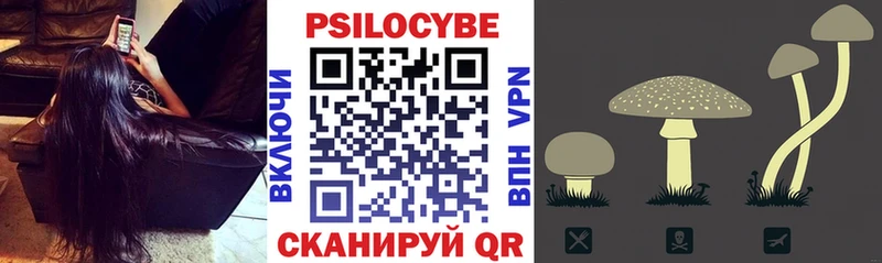 купить наркотик  Козьмодемьянск  Псилоцибиновые грибы Psilocybine cubensis 
